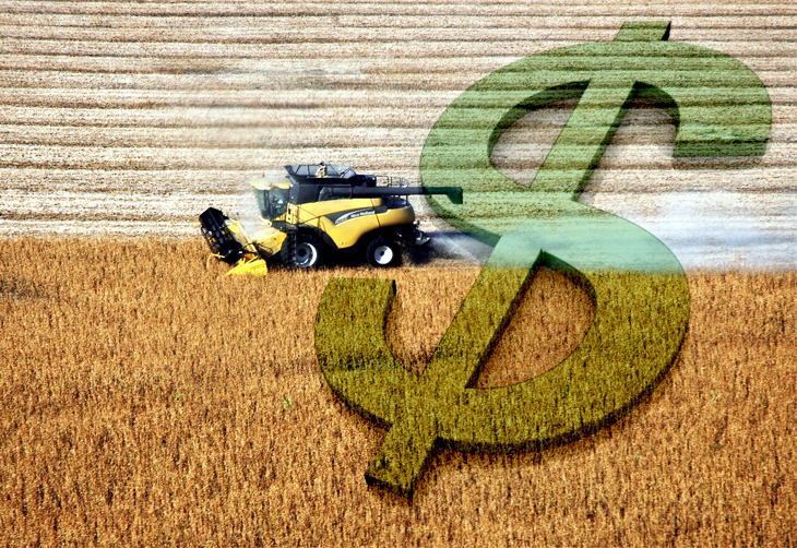Imposto De Renda: Mudanças E Cuidados Por Parte Do Produtor Rural